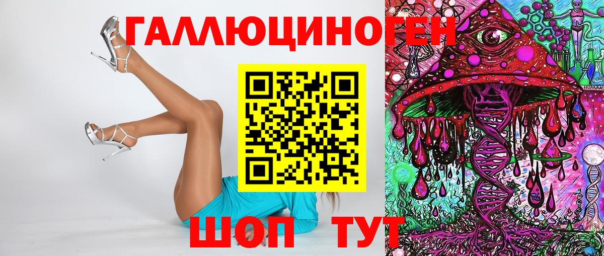 Артём  Псилоцибиновые грибы Psilocybe  Вход с VPN 